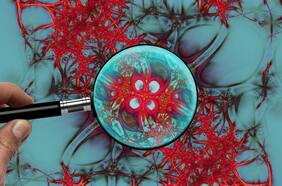 ¿Qué efectos causa el Virus Respiratorio Sincicial en los lactantes de seis meses?