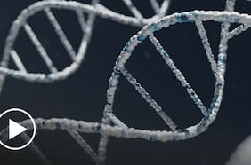 La importancia de la genética para las enfermedades