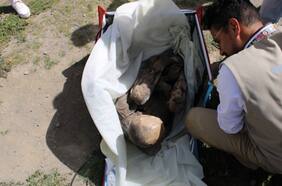 “De cariño le puse Juanita”: momia de 800 años fue hallada en la mochila de un repartidor de delivery