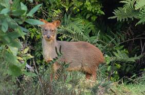 La naturaleza no es solo un destino turístico