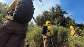 Homenajes en Valparaíso y Biobío marcan conmemoración del Día Nacional del Brigadista