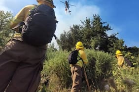 Homenajes en Valparaíso y Biobío marcan conmemoración del Día Nacional del Brigadista