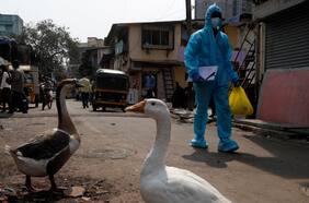 Dramático descenso de casos de Covid-19 en India: el misterioso comportamiento de la pandemia en el gigante asiático