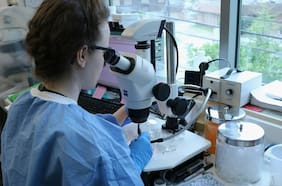 Radar LT | Consorcio chileno desarrollará tecnología de IA para tratamiento de cáncer