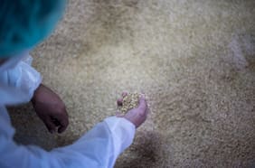 Rusia restringe exportaciones de aminoácidos para piensos, arroz y sémola hasta fin de año