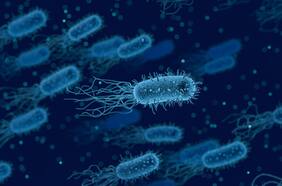 Estudio postula que los microorganismos del planeta están conectados globalmente a través de una “cinta transportadora”