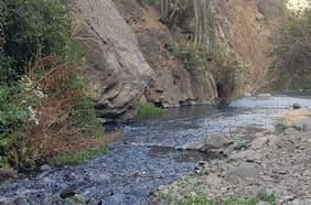 Espacio protegido: Estero del Arrayán se convierte en el 15° humedal urbano de la RM