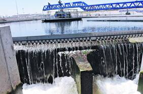 IAM y Quiñenco ¿Hay oportunidades en las sociedades holding?