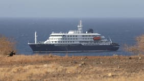 Pasajero francés evacuado desde crucero con hantavirus presentó síntomas durante vuelo de regreso a París