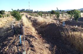 Permisología, ¿cuál es la postura del gobierno?