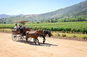 La viña chilena que está en el Top 5 de las mejores para visitar en el mundo