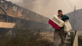 Presidente del Colegio Veterinario: “El vínculo hoy con los animales es importante, muchos se devuelven a buscarlos durante la emergencia y otros ni siquiera quieren salir por no dejarlos abandonados”