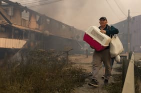 Presidente del Colegio Veterinario: “El vínculo hoy con los animales es importante, muchos se devuelven a buscarlos durante la emergencia y otros ni siquiera quieren salir por no dejarlos abandonados”