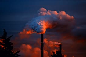 El cuidado de nuestra biodiversidad hoy es la construcción de nuestro futuro