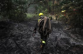 Incendios forestales en el Maule: Senapred declara alerta roja en Retiro, Parral y San Javier