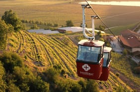 Viña Santa Cruz: Disfruta la mejor experiencia enoturística y sus exquisitos vinos