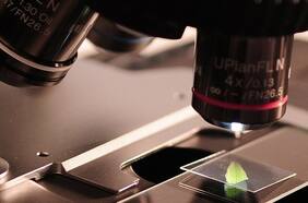 Estudio pionero en Chile:  con mini robots desvelan los secretos de las bacterias magnéticas