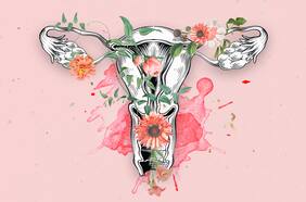 Los poderes secretos de la ovulación