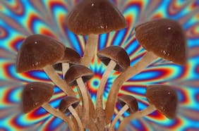 Esta es la droga psicodélica más consumida