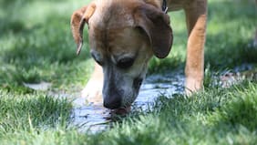 Adiós lluvia: el calor extremo vuelve a la Región Metropolitana este día