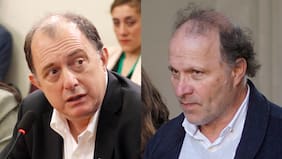 Los polémicos dichos del ministro Poduje contra el senador De Urresti por la Ley de Humedales y la réplica del parlamentario PS