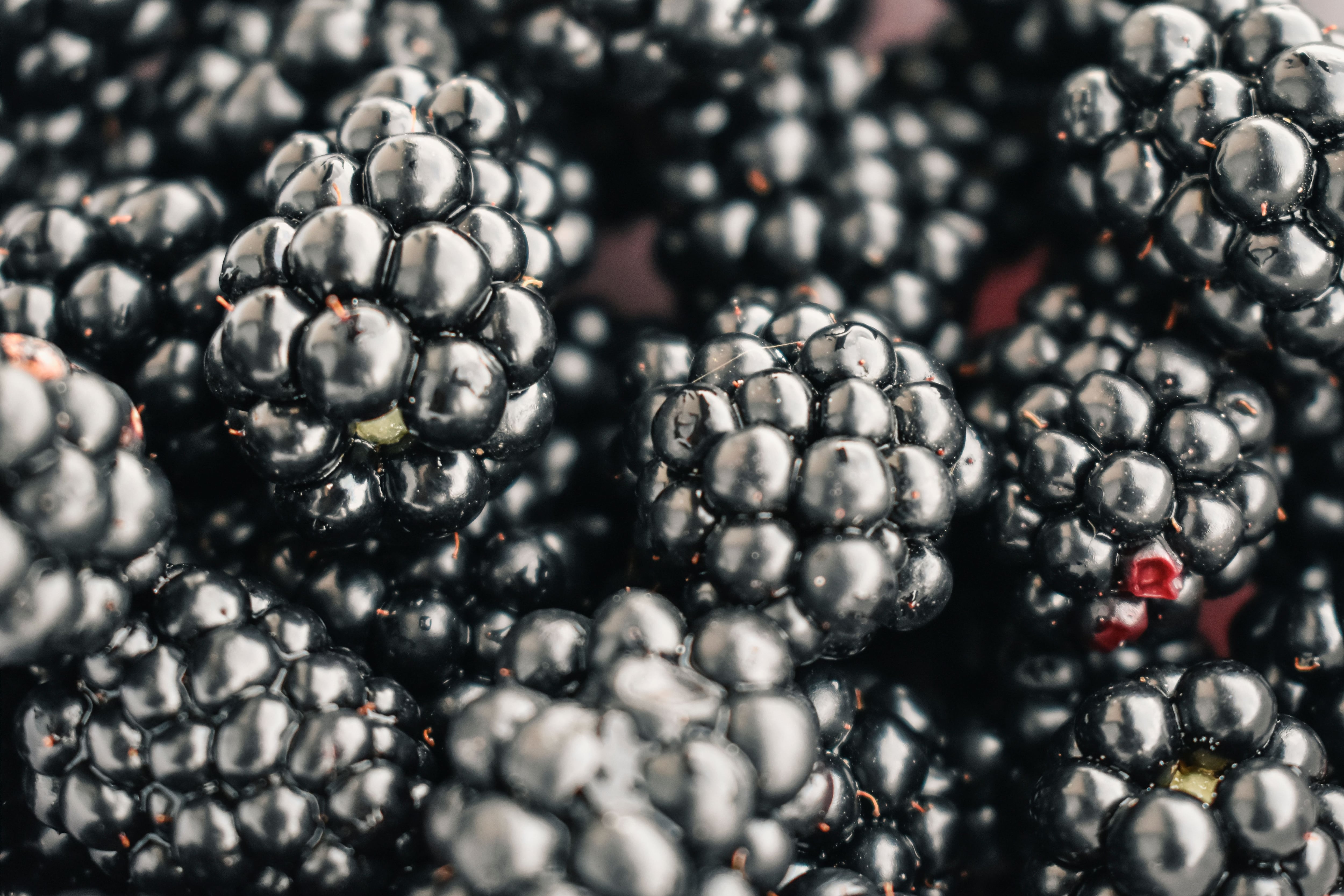 La fruta que podría “remodelar” la microbiota intestinal y favorecer la salud y el metabolismo. Foto: pexels