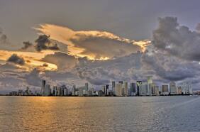 Miami en alerta por informe que anuncia que lepra se ha vuelto endémica en Florida