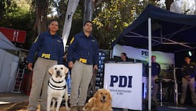 Con foco en microtráfico y crimen organizado: PDI refuerza servicios policiales en el marco del Festival de Viña 2026