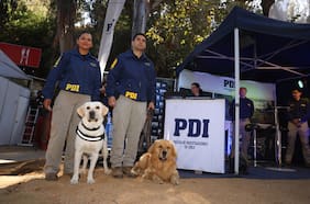 Con foco en microtráfico y crimen organizado: PDI refuerza servicios policiales en el marco del Festival de Viña 2026