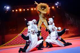 De Madagascar al Intercomunal: el salvaje show que une teatro y circo en el Parque Padre Hurtado