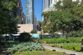 Necesitamos más POPS y más Conservancy