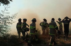 Incendio forestal afecta a sector del Cerro Colorado en Renca: emergencia ya fue controlada