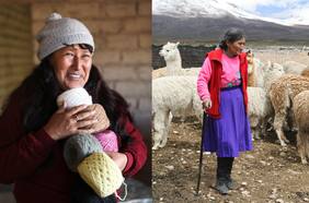 Del altiplano al mundo digital