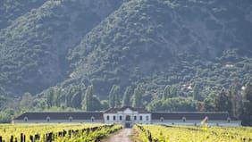 Escapada en la Viña Selentia (a pasos de San Fernando)