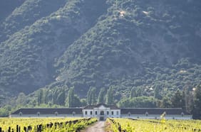 Escapada en la Viña Selentia (a pasos de San Fernando)