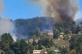 Cuatro incendios forestales se mantienen en combate a nivel nacional