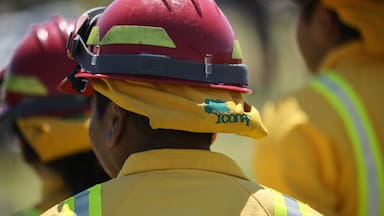La Araucanía: declaran alerta roja en Cholchol por incendio forestal cercano a sectores habitados