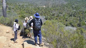Conaf cierra el Parque La Campana y la Reserva Lago Peñuelas ante amenaza de incendios forestales