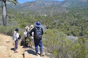 Rutas del Conocimiento: tecnología, trekking y naturaleza en el Parque Nacional La Campana