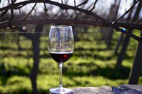 China inicia una investigación antidumping sobre las importaciones de vino australiano