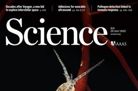 “Abre un montón de preguntas”: crucial estudio hecho en Chile sobre reproducción marina es portada en Science