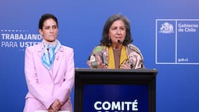 Comité Social: Salud y Mideso destacan avances en certificación de discapacidad y ampliación de la Red de Apoyos y Cuidados