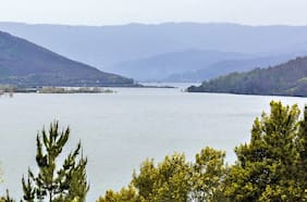 Carabineros desaloja y destruye ruca construida en terreno tomado en el lago Lanalhue