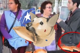 Confirman muerte de “Orejón”, el perro del meme que se robó el corazón de Internet (y una empanada)