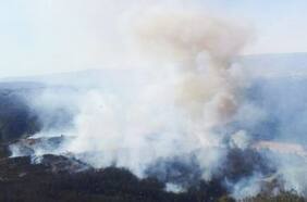 Senapred reporta 14 incendios forestales en combate, 73 controlados y uno extinto: se mantiene alerta roja para tres comunas