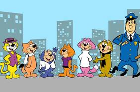 Columna de Matías Rivas: conjeturas sobre los gatos