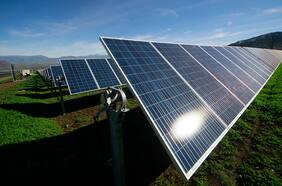 Segundo Tribunal Ambiental ratifica que “Chicureo Solar” es compatible territorialmente