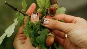 Datos Paula: plantas para aprender, inspirarse y cuidarse