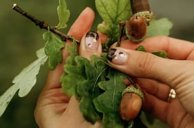 Datos Paula: plantas para aprender, inspirarse y cuidarse