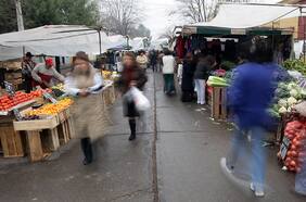 Columna de Francisca Vial: La trampa de la informalidad: ¿Cotizar es un avance o un castigo?